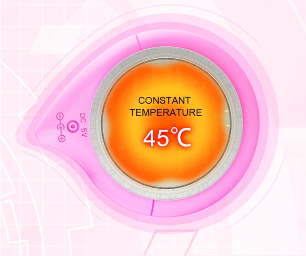 Nettoyeur Facial Électrique
