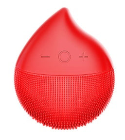 Nettoyeur Facial Électrique