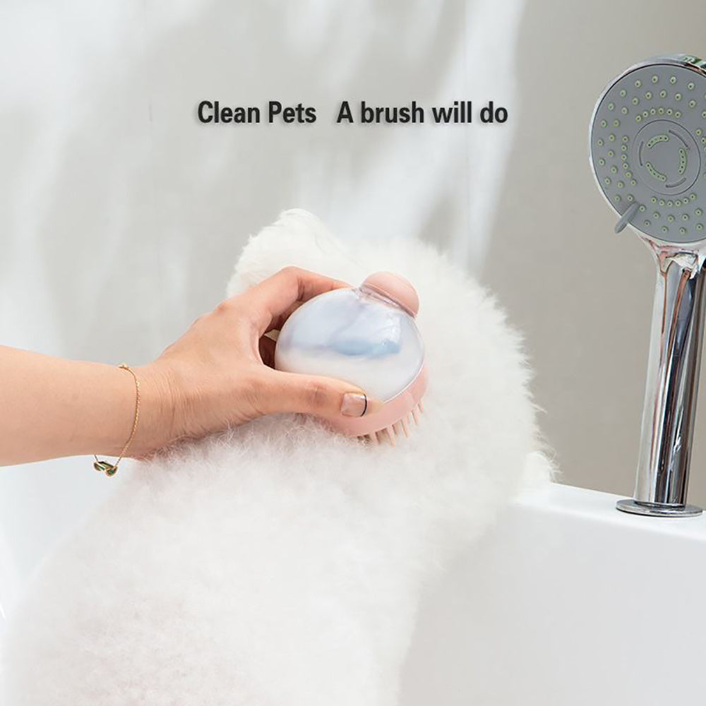 Brosse de Bain pour Cuir Chevelu